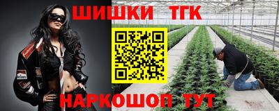 эйфоретик Лесосибирск